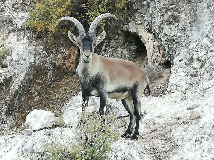 Alojamiento Alarcon Arroyo Frio Dış mekan fotoğraf
