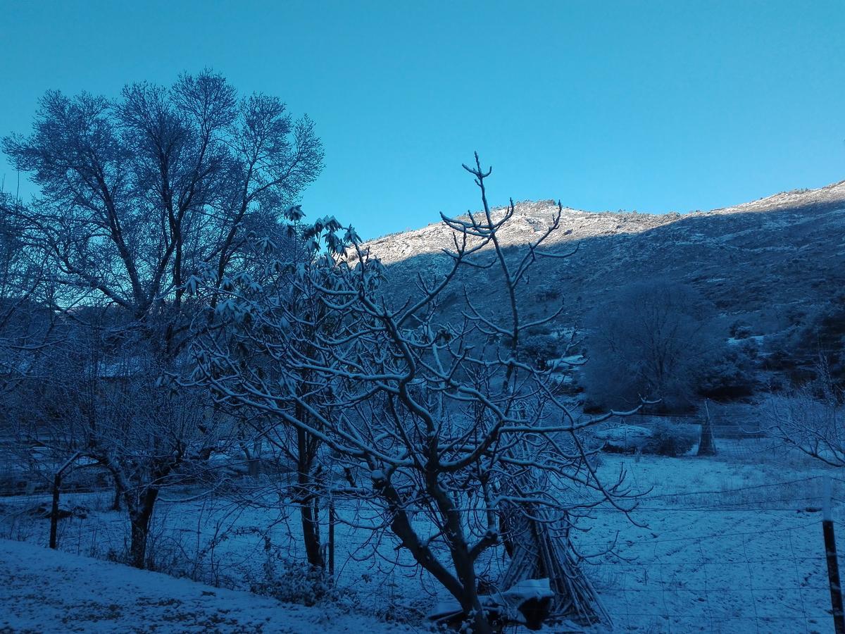 Alojamiento Alarcon Arroyo Frio Dış mekan fotoğraf